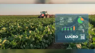 Gestão De Custos Agrícolas