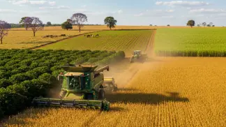 Software De Gestão Agrícola