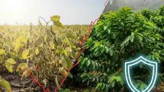 Mudanças Climáticas Na Agricultura