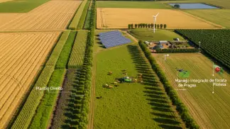 Agricultura Sustentável