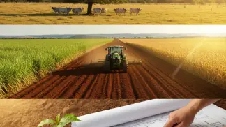 Credito-Rural