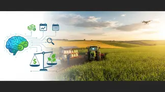 Gestão De Custos Agrícolas