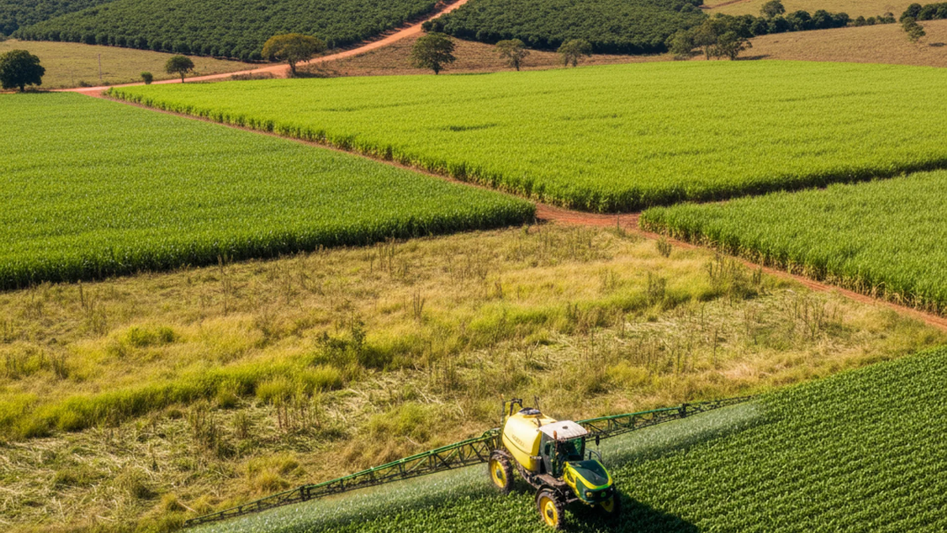 Glifosato: O que é, como funciona e por que é o herbicida mais usado no Brasil