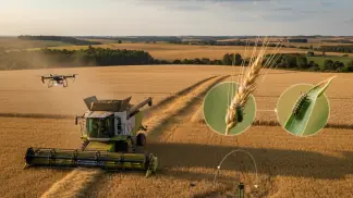 Controle De Pragas Agrícolas