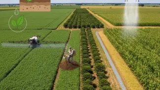 Nutrição De Plantas