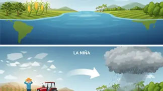 Gestão De Riscos Climáticos