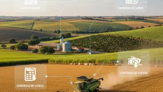 Lucro Por Hectare De Soja
