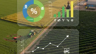 Gestão De Custos Agrícolas