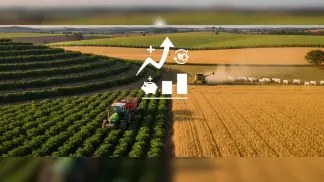 Credito-Rural