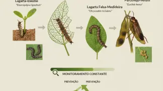 Manejo Integrado De Pragas