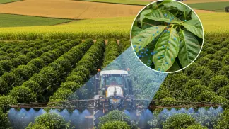 Agricultura De Precisão
