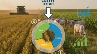 Lucratividade Agrícola