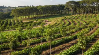 Agricultura Sustentável
