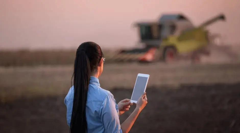 mulher, vista de costas, em um campo agrícola ao entardecer ou amanhecer. Ela possui cabelos longos e es