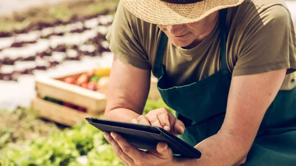 agricultor ou agricultora em meio a uma plantação, utilizando um tablet. A pessoa, vestida com chapéu de