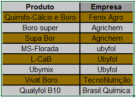 uma tabela simples, semelhante a uma planilha, com duas colunas intituladas ‘Produto’ e ‘Empresa’. A tabela li