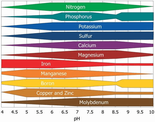 gráfico detalhado que ilustra a correlação entre o pH do solo e a disponibilidade de nutrientes essenciais