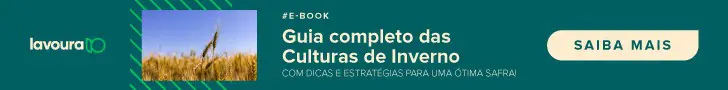 Este é um banner publicitário digital com um fundo verde-escuro, projetado para promover um e-book. No lado esquerdo, apresen