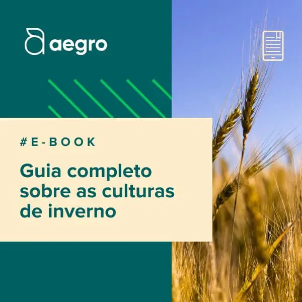 material de divulgação para um e-book da Aegro, software de gestão rural. O design é dividido, com uma seção gr