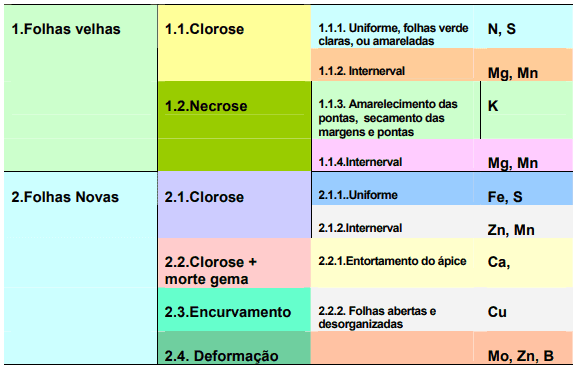 chave de diagnóstico visual para a identificação de deficiências nutricionais em plantas, organizada e