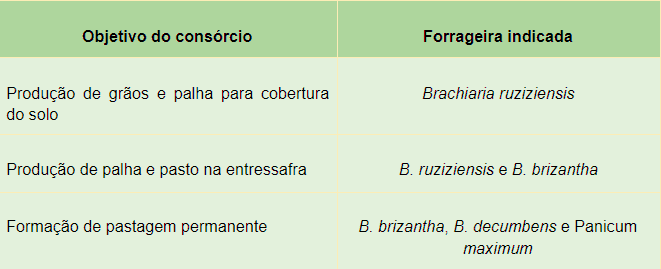 uma tabela informativa que orienta a escolha de plantas forrageiras com base no objetivo de um consórcio agríc