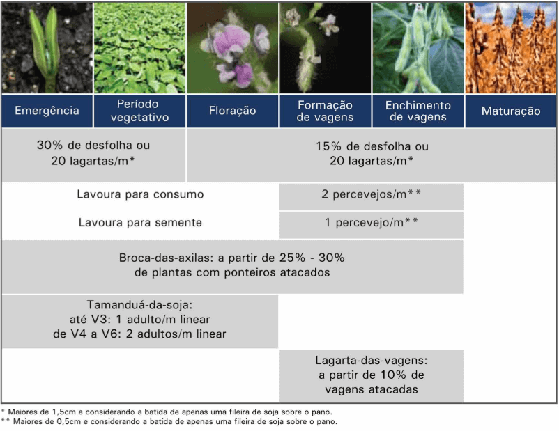 infográfico técnico detalhado sobre o manejo de pragas na cultura da soja, correlacionando os estágios fenológi