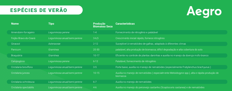infográfico informativo em formato de tabela, com um fundo verde e o logotipo da Aegro no canto superior direit