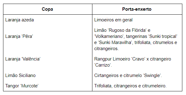 uma tabela informativa, clara e objetiva, dividida em duas colunas intituladas ‘Copa’ e ‘Porta-enxerto’. O con