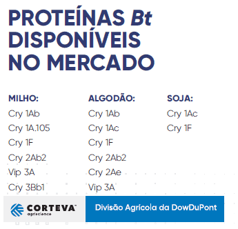 infográfico informativo que lista as diferentes proteínas Bt (Bacillus thuringiensis) disponíveis comercialment