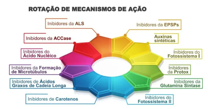 infográfico educativo intitulado ‘Rotação de Mecanismos de Ação’. Ela exibe um diagrama circular, semelhante a