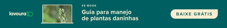 imagem consiste em um banner digital promocional com um fundo verde-azulado. No canto esquerdo, está o logotipo ’lavoura10’