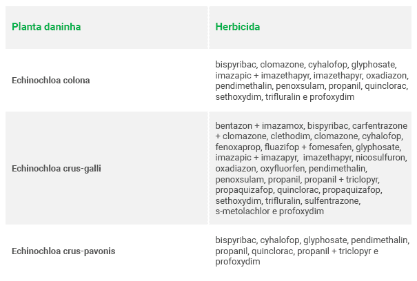 uma tabela informativa com um design limpo e profissional, dividida em duas colunas: ‘Planta daninha’ e ‘Herbi