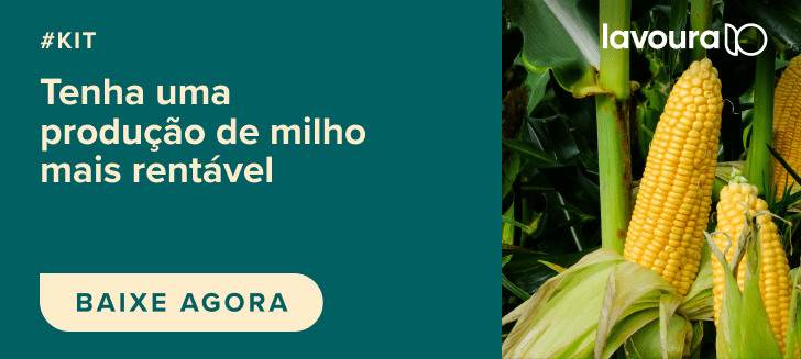 banner publicitário dividido verticalmente. O lado esquerdo possui um fundo verde-azulado escuro com o texto em