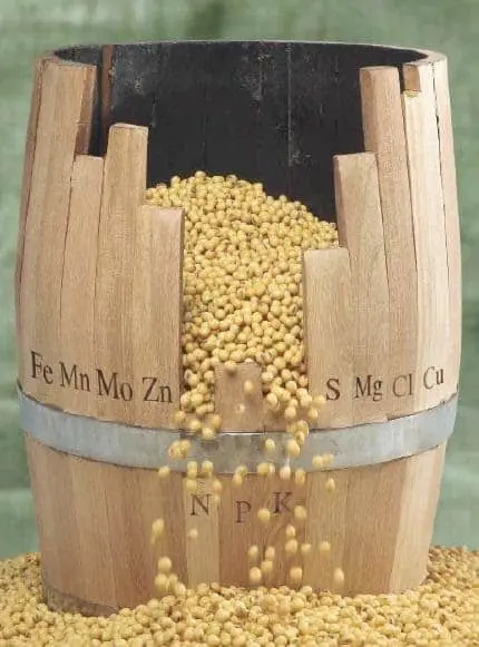 uma representação visual da ‘Lei do Mínimo’, também conhecida como ‘Barril de Liebig’. Vemos um barril de made