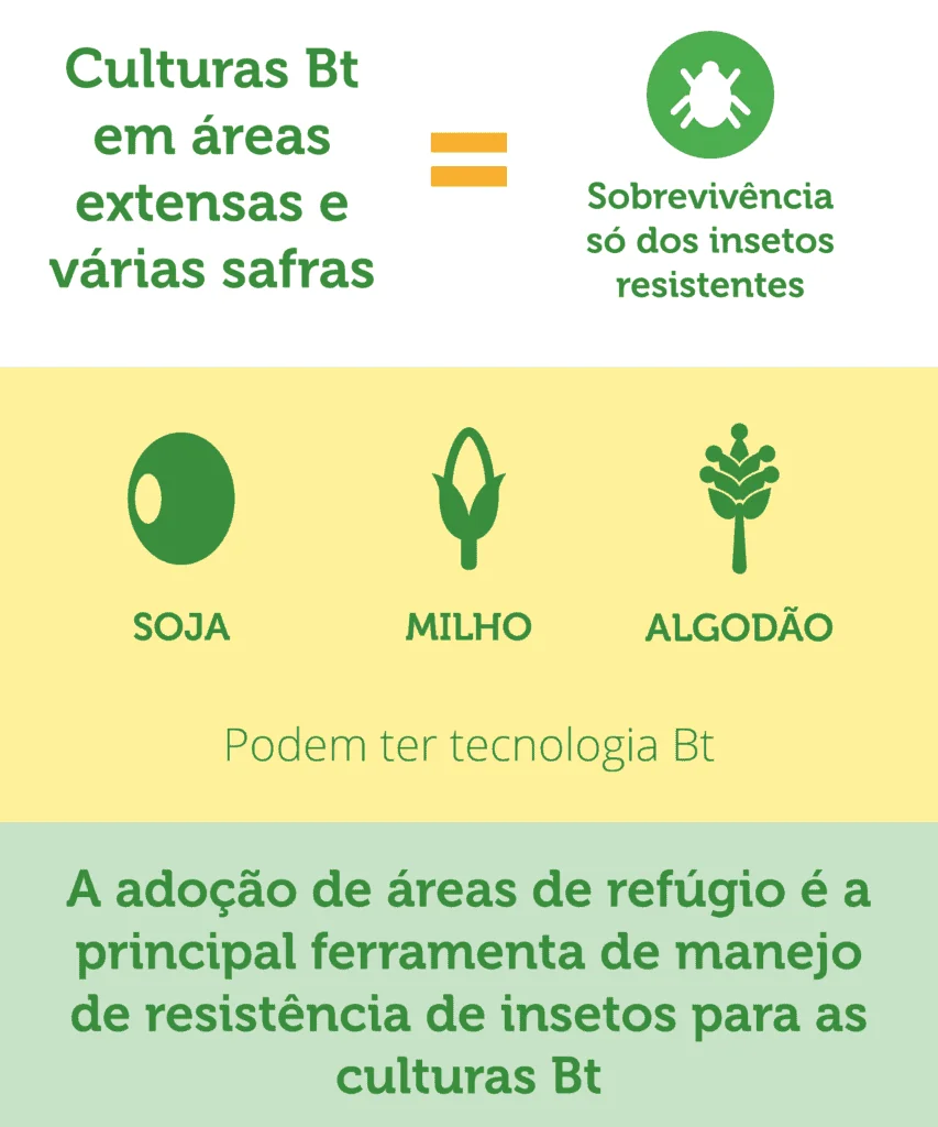 Este infográfico educacional aborda o manejo de resistência de insetos em culturas com tecnologia Bt. A imagem é dividida em