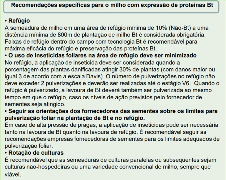 A imagem consiste em um texto informativo com fundo verde claro, intitulado ‘Recomendações específicas para o milho com expre