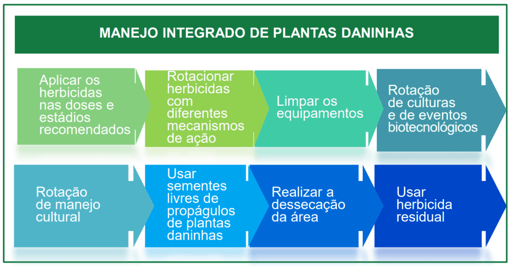 infográfico educativo que detalha as principais práticas do Manejo Integrado de Plantas Daninhas (MIPD). Com um