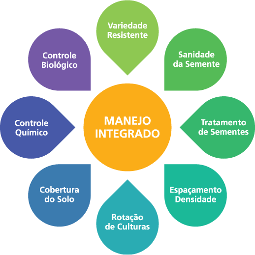 infográfico que ilustra o conceito de ‘Manejo Integrado’ na agricultura. No centro, um círculo laranja destaca