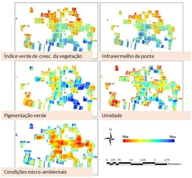 conjunto de cinco mapas de calor que analisam diferentes variáveis agronômicas de uma mesma área agrícola,
