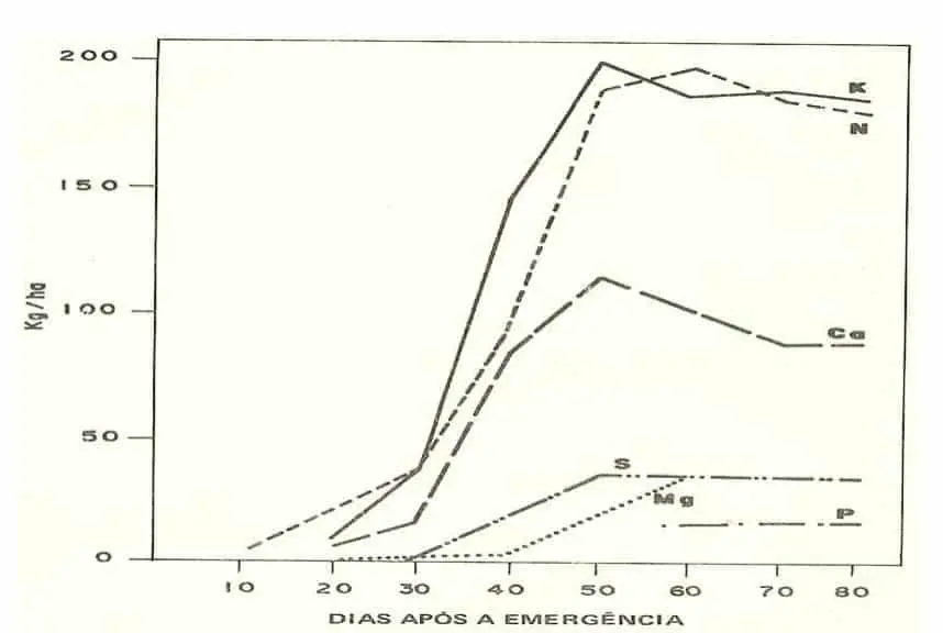 gráfico técnico conhecido como ‘marcha de absorção de nutrientes’, que ilustra a quantidade de diferentes m
