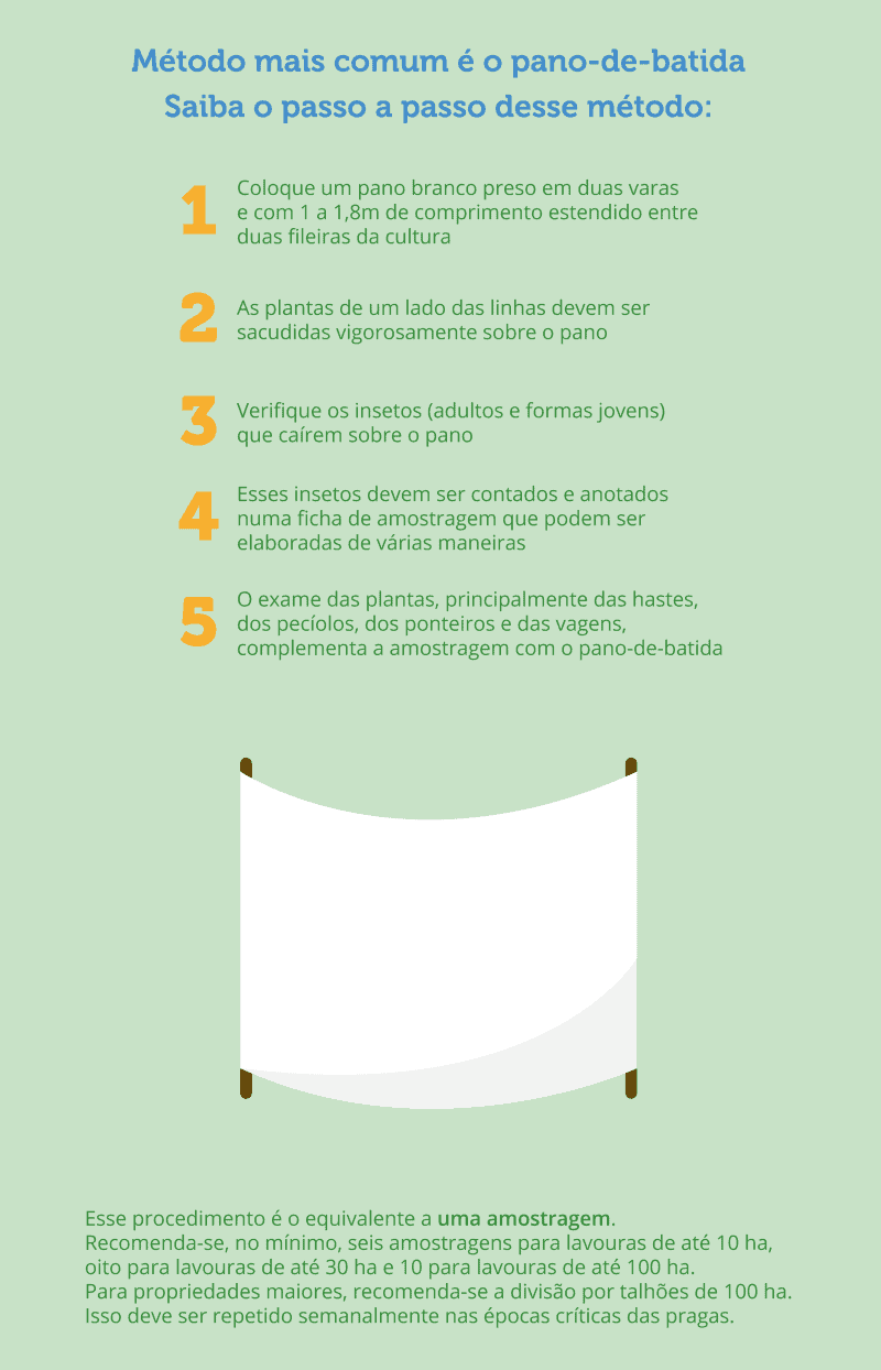 infográfico educativo que detalha o método de monitoramento de pragas conhecido como ‘pano-de-batida’. Com um f