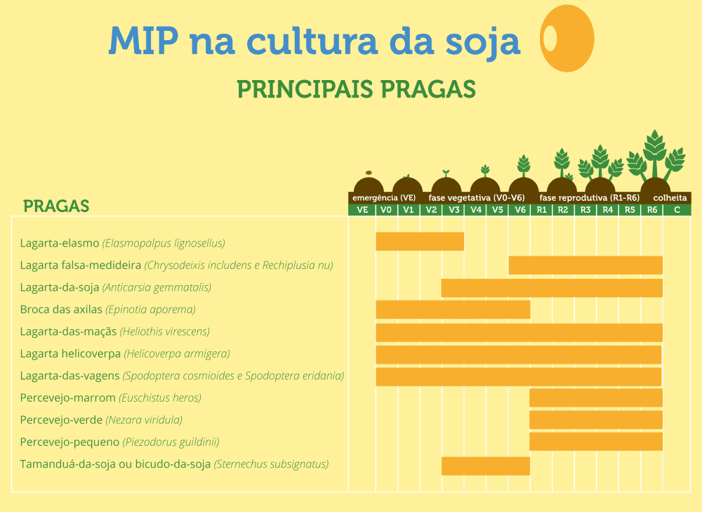 infográfico educacional intitulado ‘MIP na cultura da soja: PRINCIPAIS PRAGAS’, projetado para orientar agricul