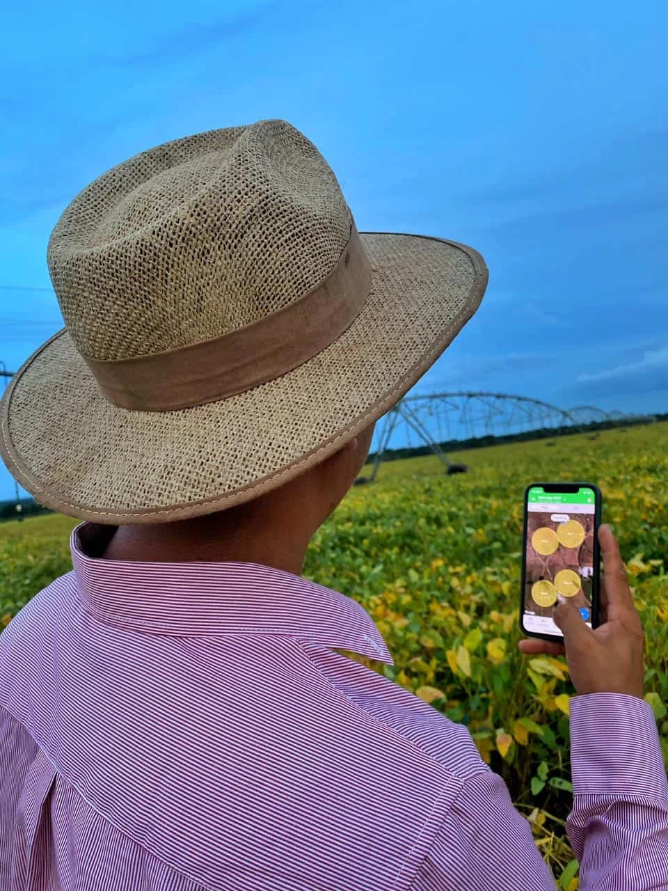 pessoa, vista por trás, usando um chapéu de palha e uma camisa social listrada, em meio a uma extensa la