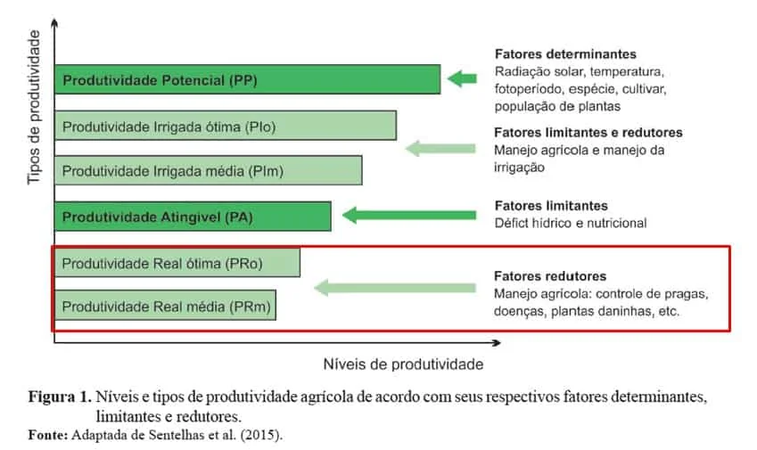 gráfico de barras horizontais, intitulado ‘Figura 1’, que detalha os níveis e tipos de produtividade agríco