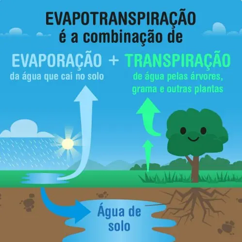 infográfico educacional que explica de forma visual e simplificada o conceito de evapotranspiração. Ela demonst
