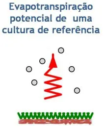 diagrama científico simplificado que ilustra o conceito de ‘Evapotranspiração potencial de uma cultura de refer