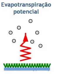 diagrama esquemático que ilustra o conceito de evapotranspiração potencial. Na base, uma superfície ver