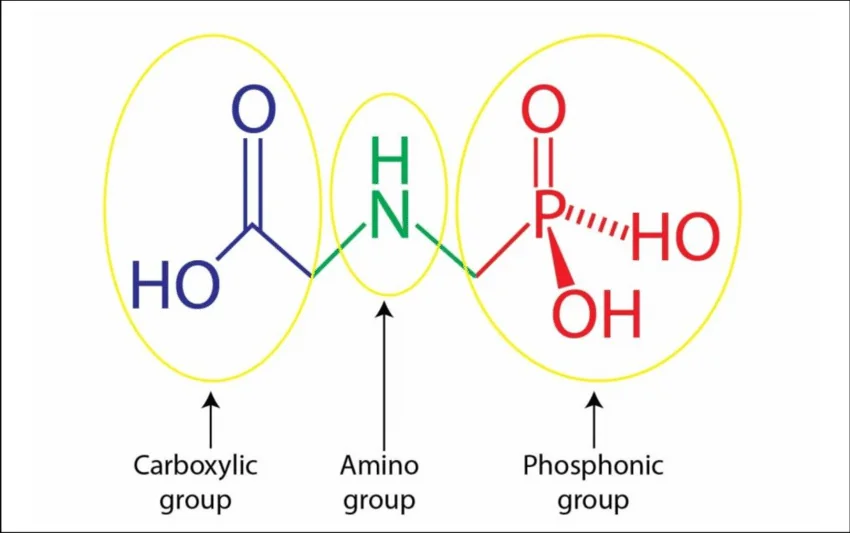 diagrama da estrutura química da molécula de glifosato, um dos herbicidas mais utilizados na agricultura mu