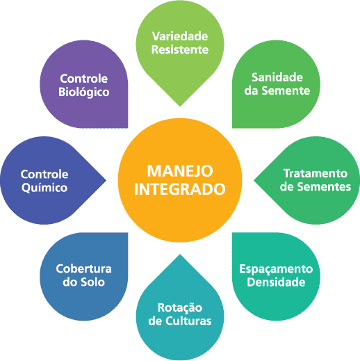 infográfico que ilustra o conceito de ‘Manejo Integrado’ na agricultura. No centro, um círculo laranja destaca