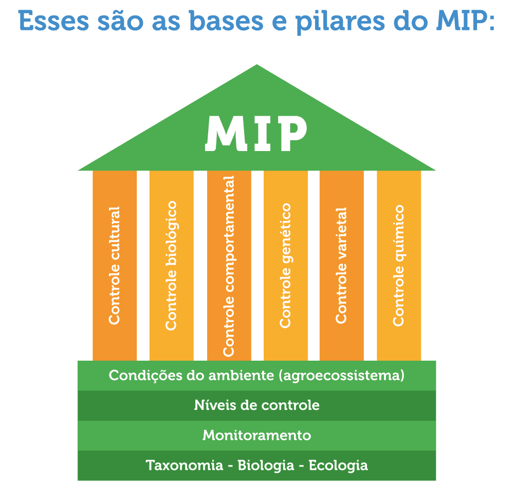 Este infográfico ilustra os conceitos fundamentais do Manejo Integrado de Pragas (MIP) utilizando a metáfora de um templo. O